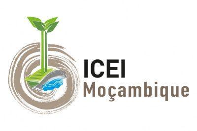 Instituto de Cooperação Económica Internacional
