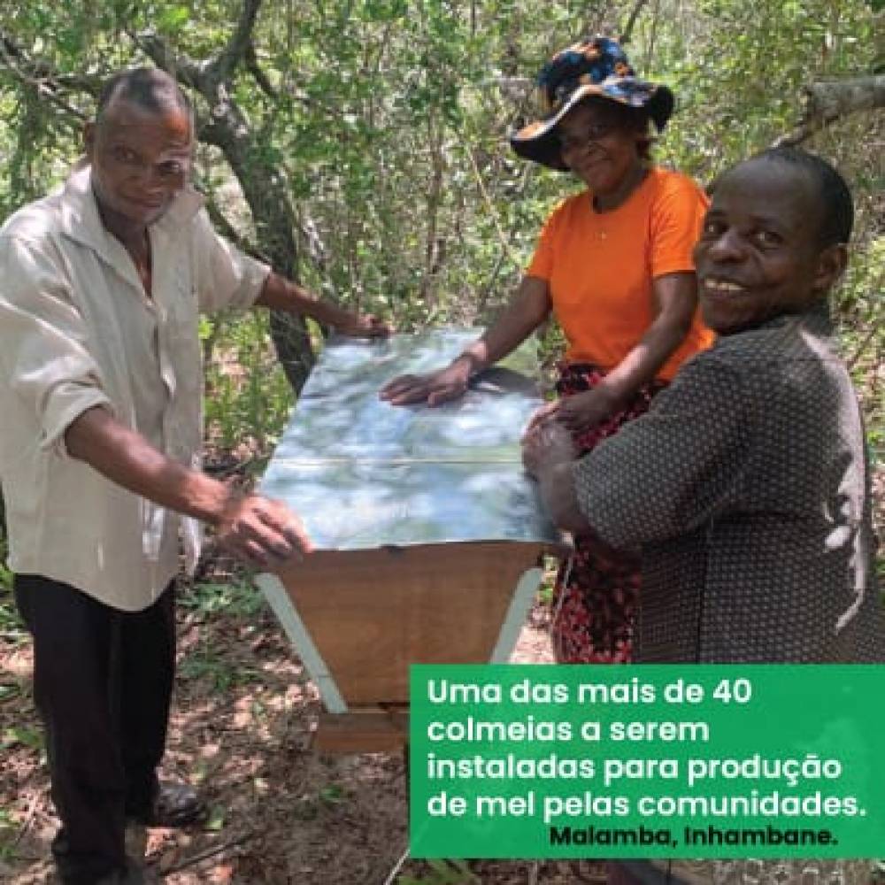 PROTOCOLO DE COLABORAÇÃO E COOPERAÇÃO ENTRE A ASSOCIAÇÃO NATURA E A AZUL Lda.